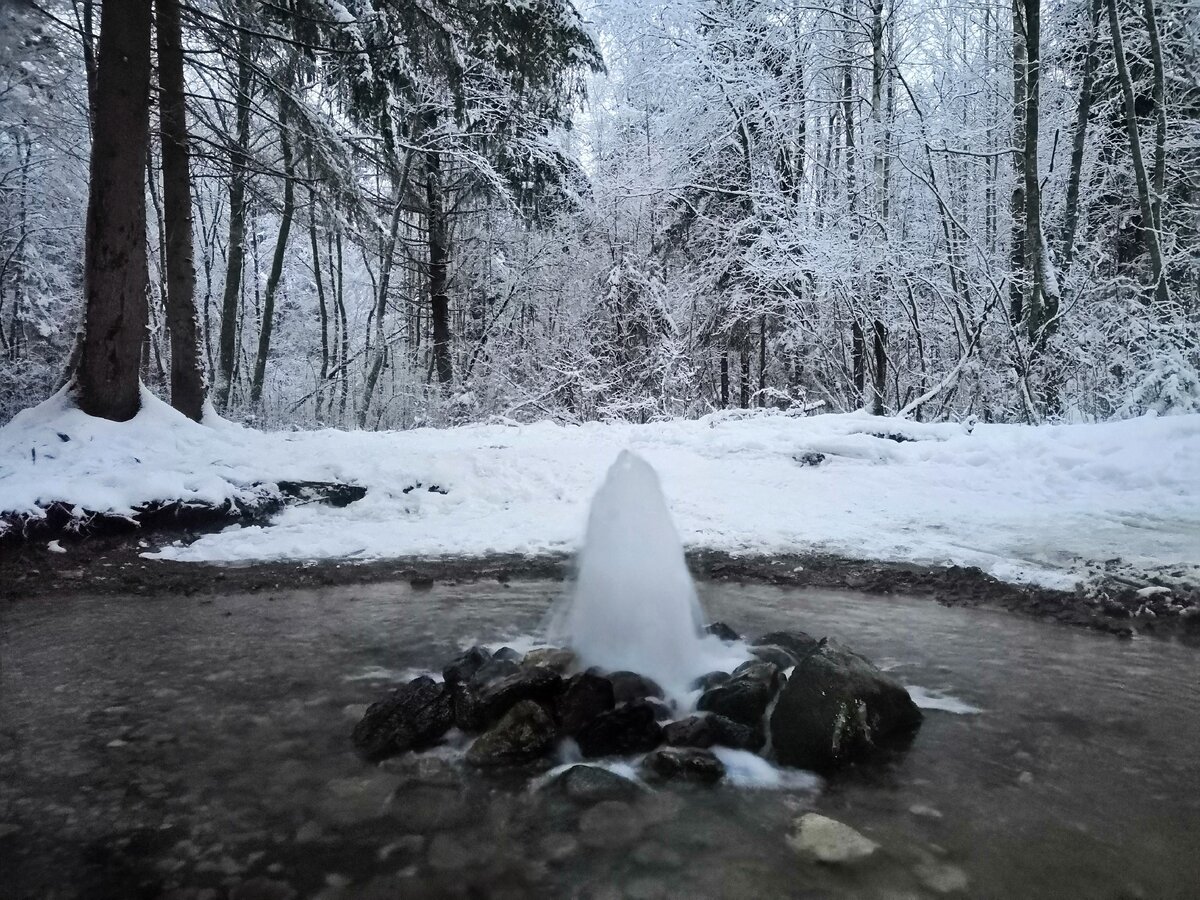 Гейзер "Родник" зимой. Фото автора. 