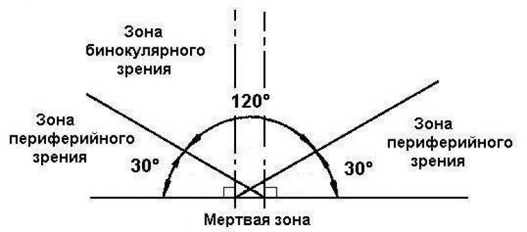 Периферийное зрение