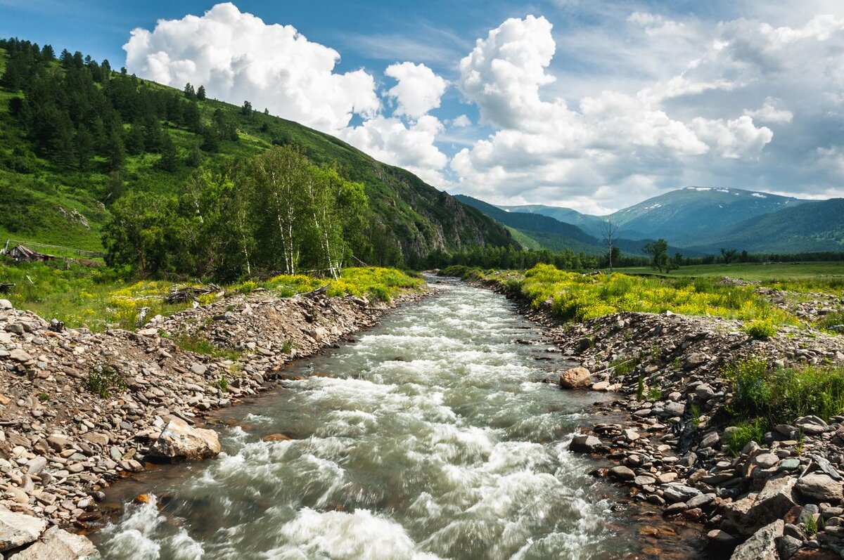 село алтайское алтайский край фото