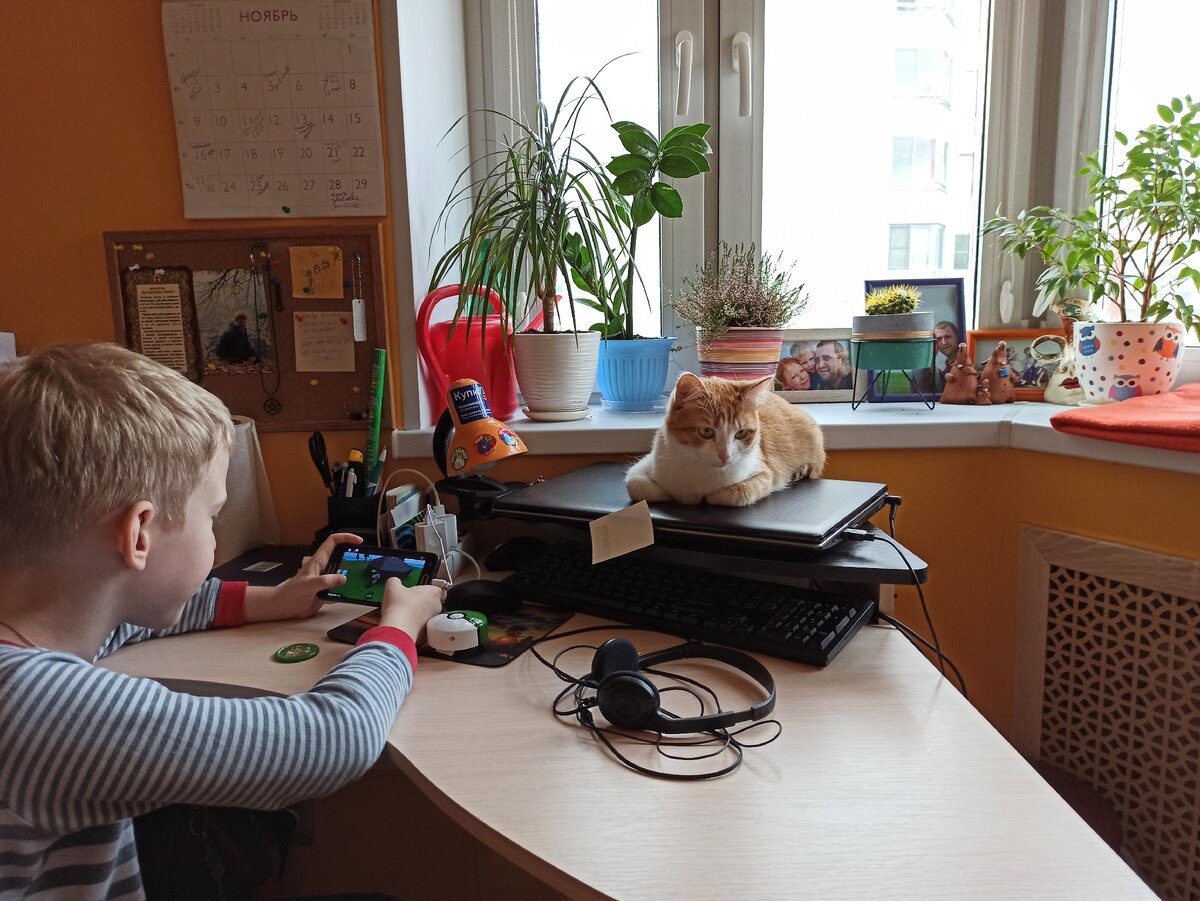 Мое рабочее место 
