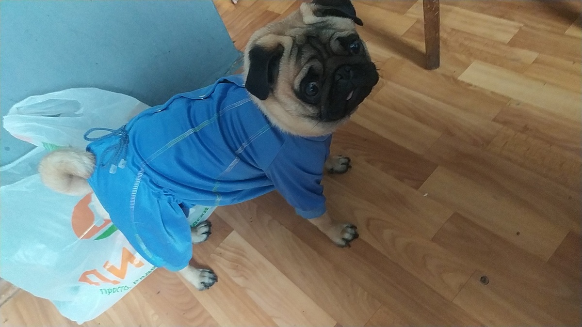 Ма сказала что я красавчик, а батя клоуном назвал