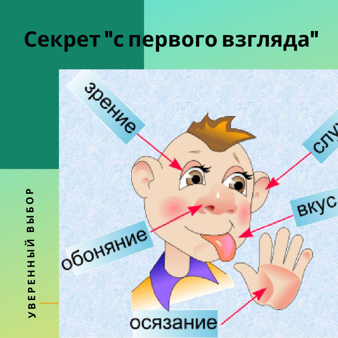 Определение органов чувств. Органы чувств. Назовите 5 органов чувств человека.. Рисунок на тему органы чувств. Органы чувств человека осязание обоняние.