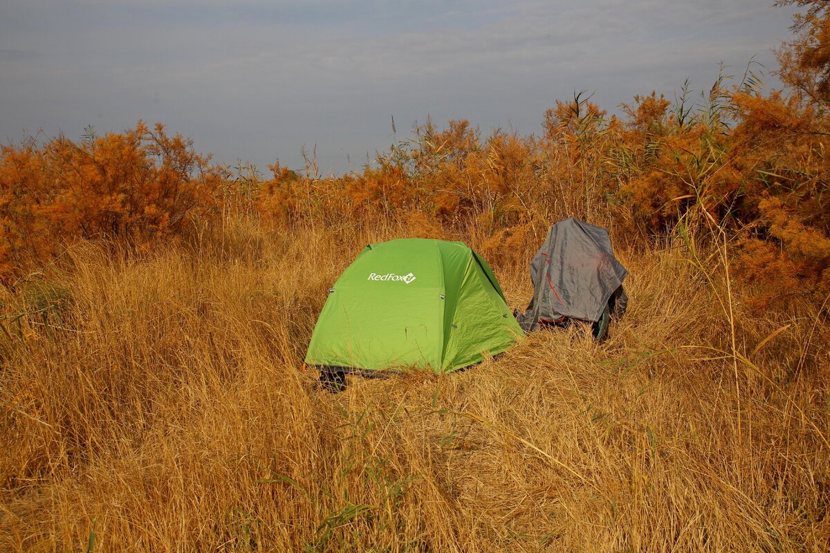 В Казахстане