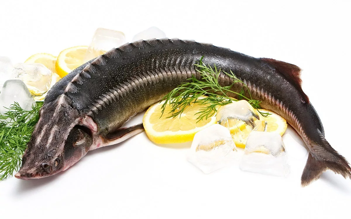 какая рыба снится к беременности