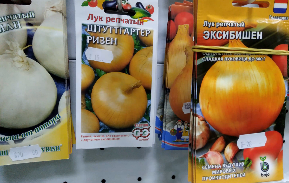 Семена лука.