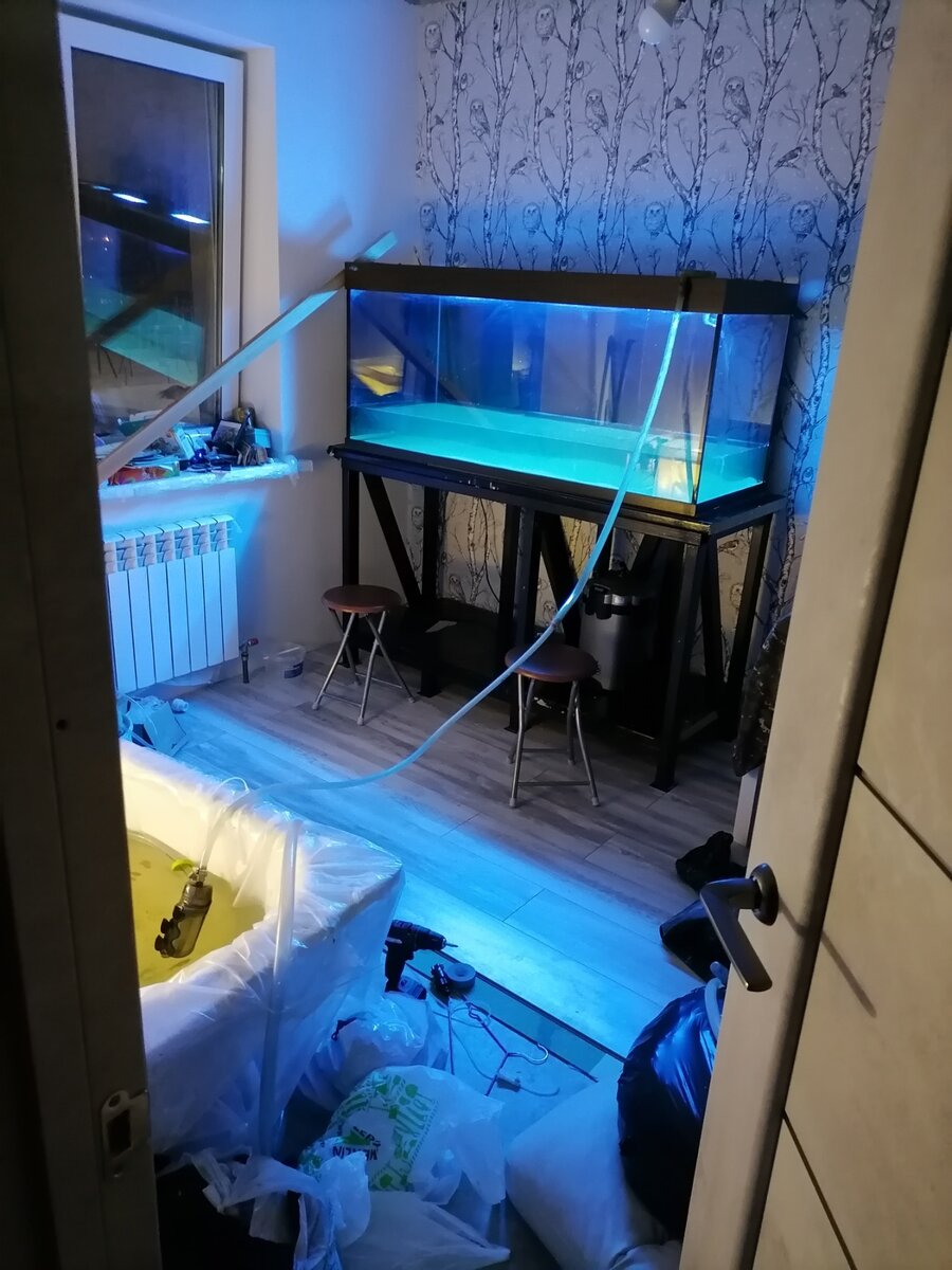 Аквариум 500 литров из личного архива