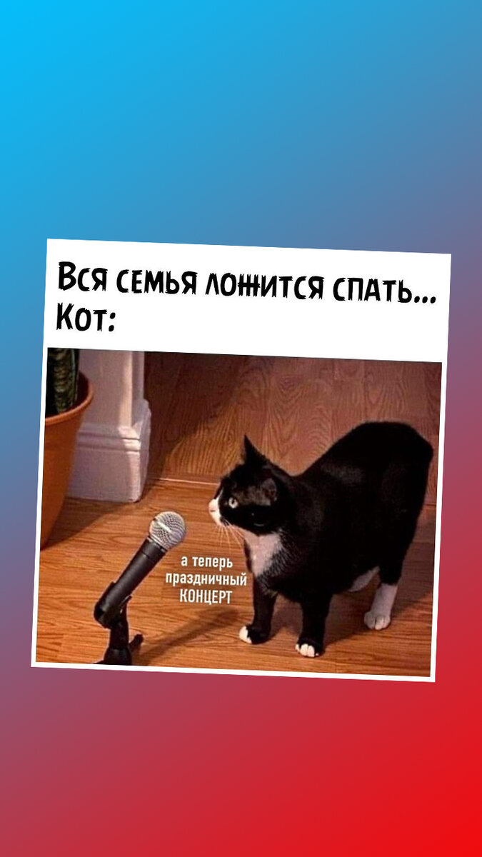 Эта песня - для моего наглого хозяина!