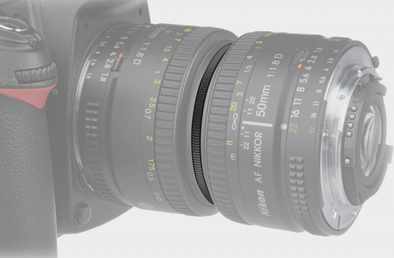 Источник: voronezh.fotorox.ru