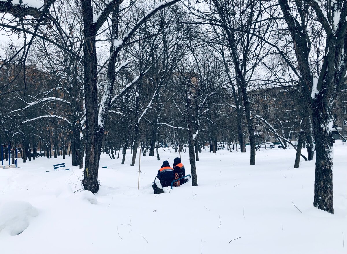 Фото автора. Ситуация на окраинах Москвы.