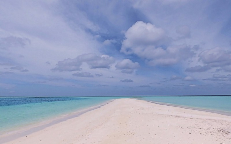 Фото: pixabay.com