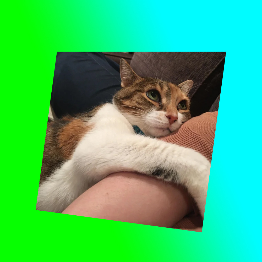 мяу