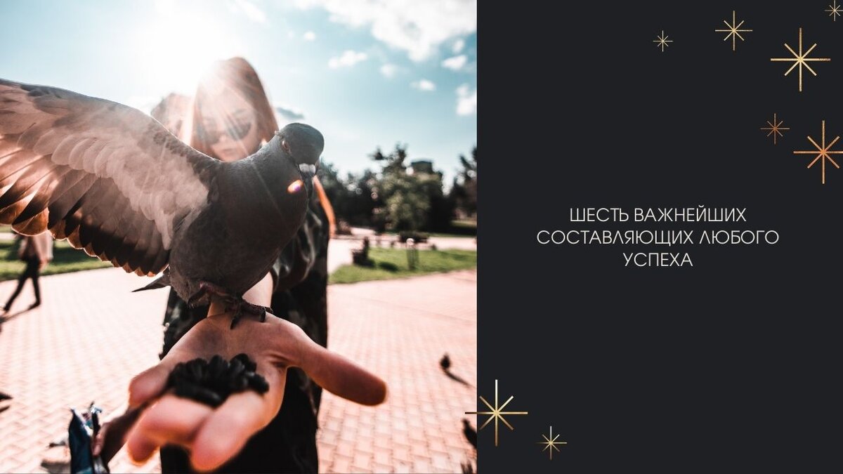 В основе Photo by Ilya Shishikhin on Unsplash 