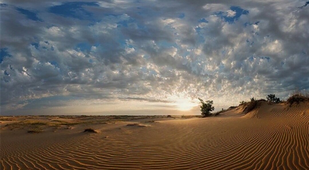 Источник фото - Яндекс.Картинки