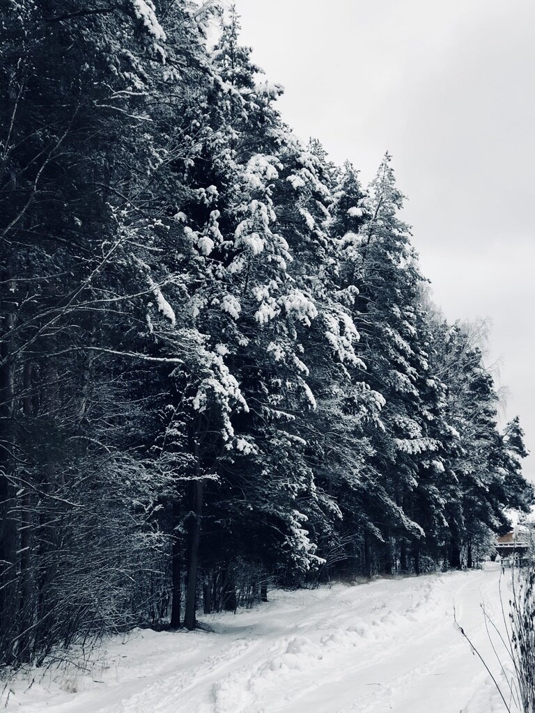 Дорожка вдоль леса тоже прочищена. Везде фото автора. 