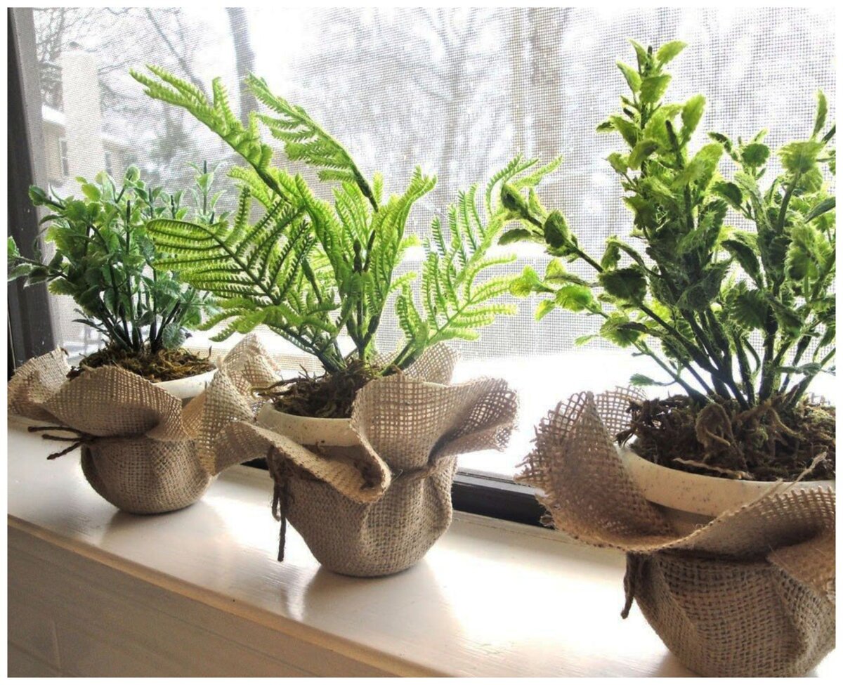 Варианты оформления интерьера растениями