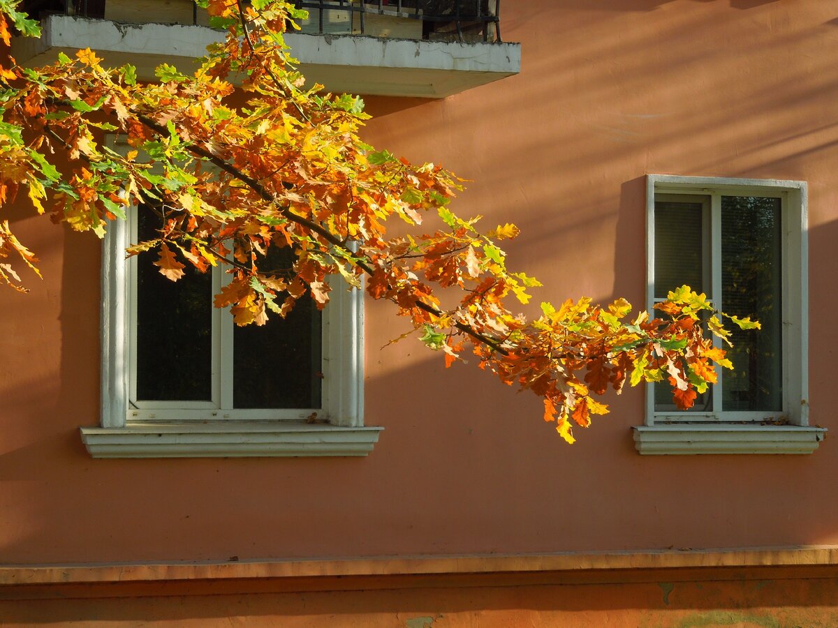 Ленинградская область, фото автора