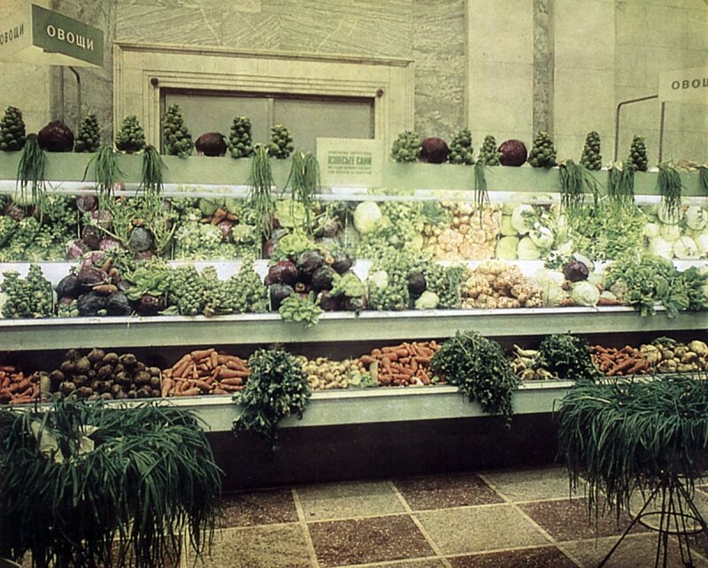 Овощи с колхозных полей СССР. Учащиеся и студенты принимали активное участие в сборе овощей.