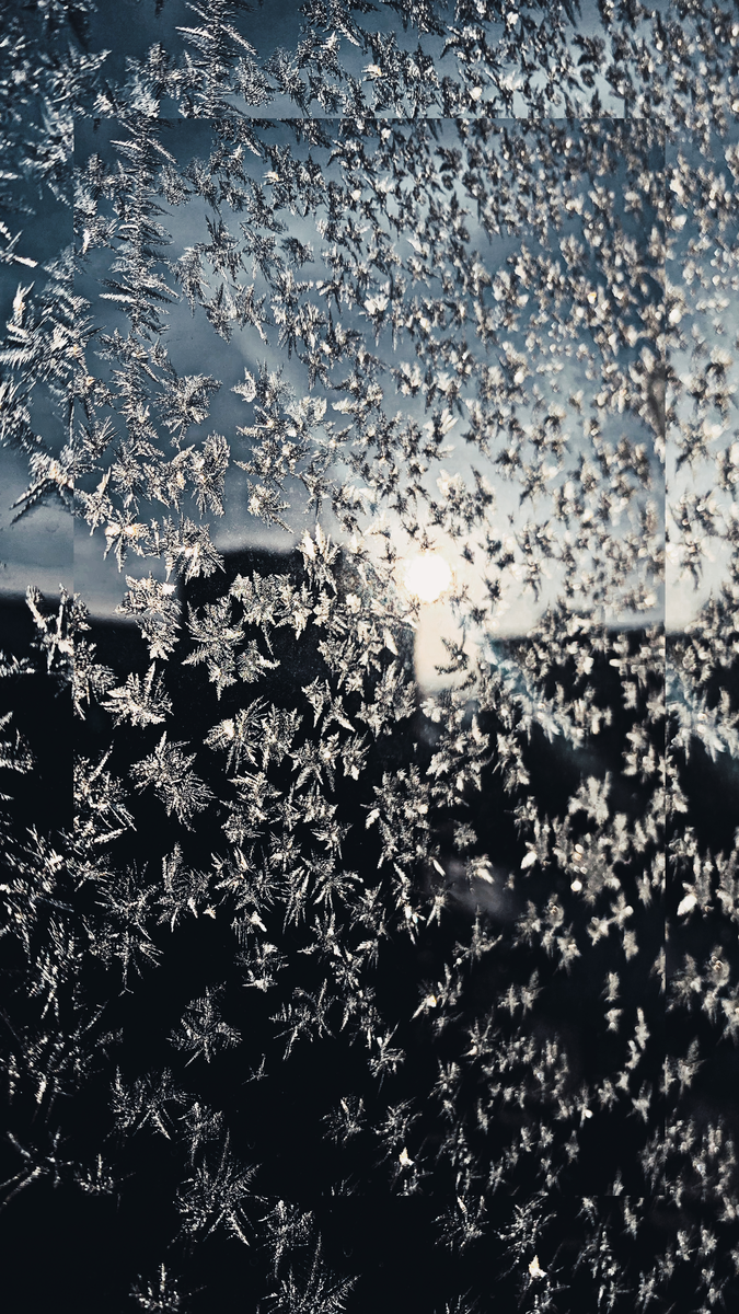 Дед Мороз на ваших окнах тоже рисует такие узоры? 