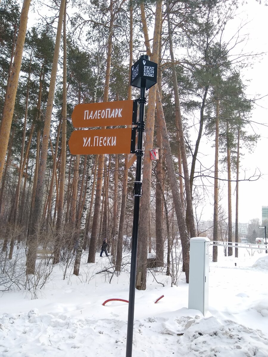 Указатели в лесопарке. Фото автора.