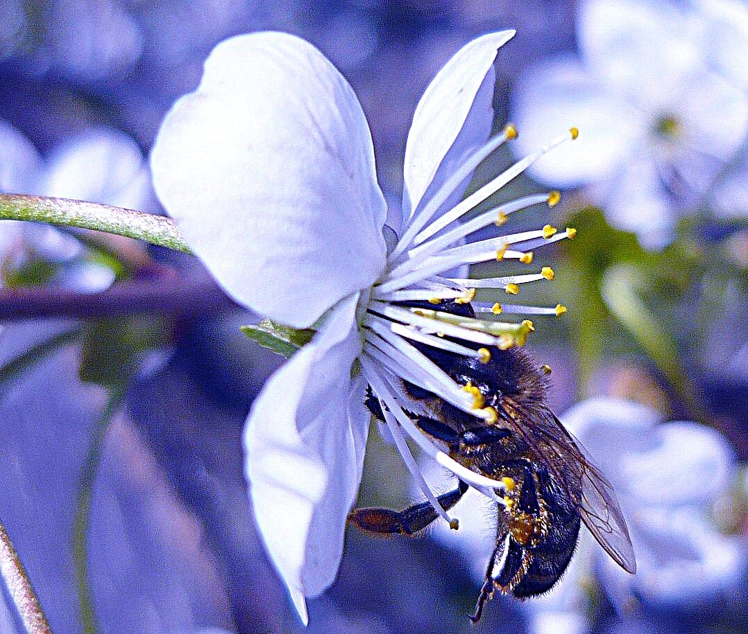 Татьяна Ельники