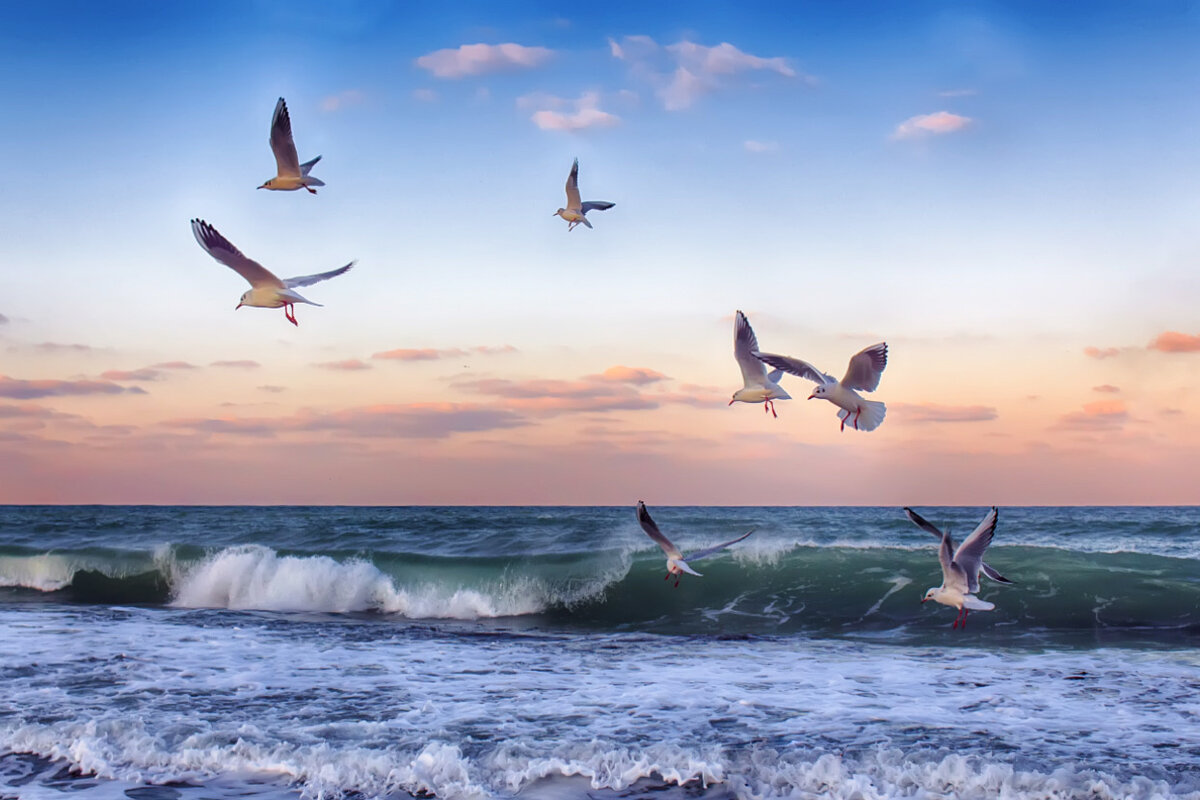 Фотография из открытых источников сети Интернет