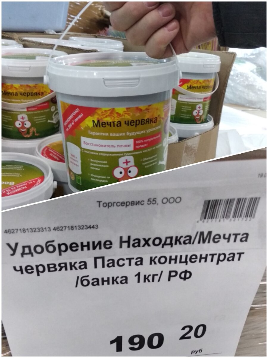 Мечта червяка отзывы