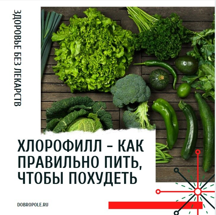 хлорофилл - многофункциональная исключительно полезная добавка 