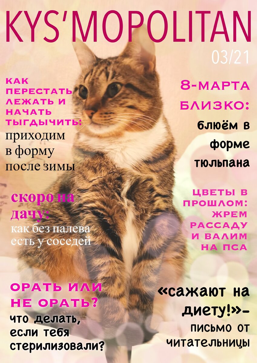 Журнал, который мы заслужили! xD моё