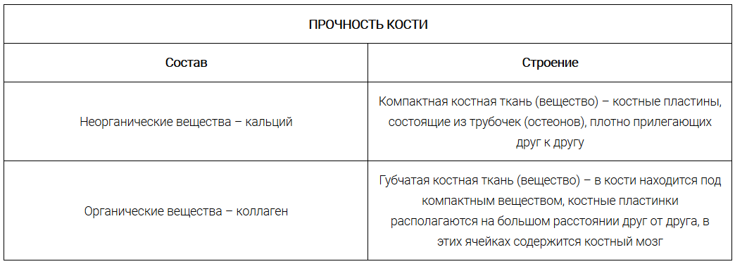 Таблица "Прочность кости собаки"