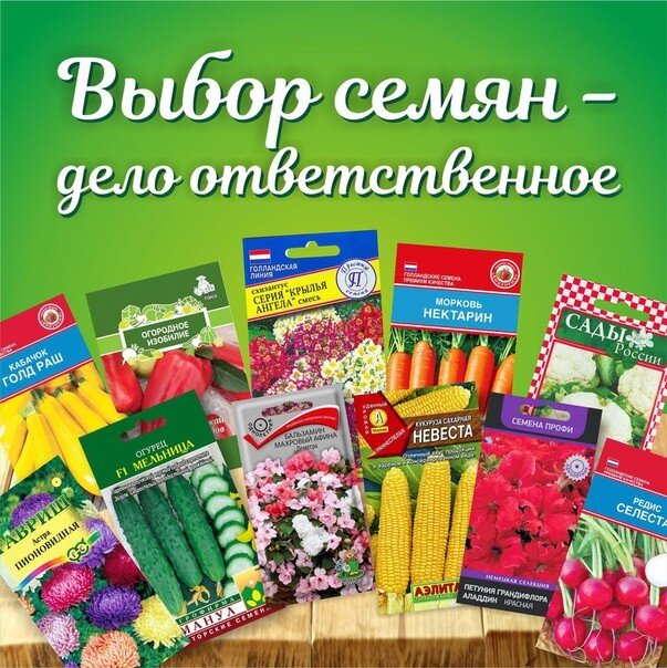 И правда ...