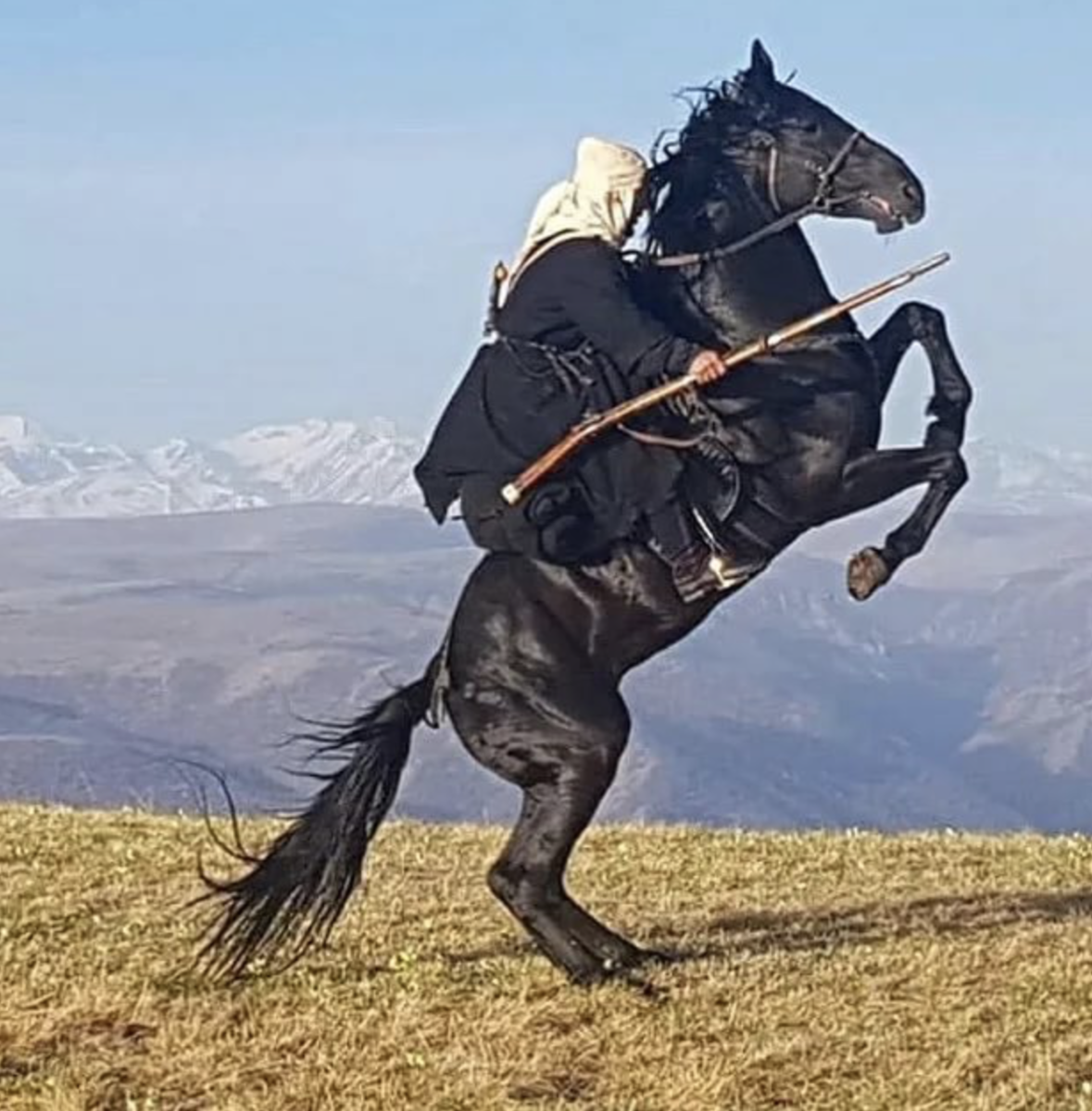 Черкесская лошадь