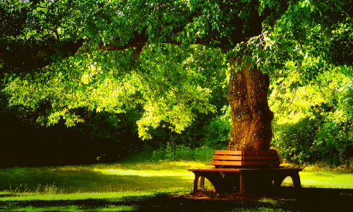 Сад более распространенная форма лечения