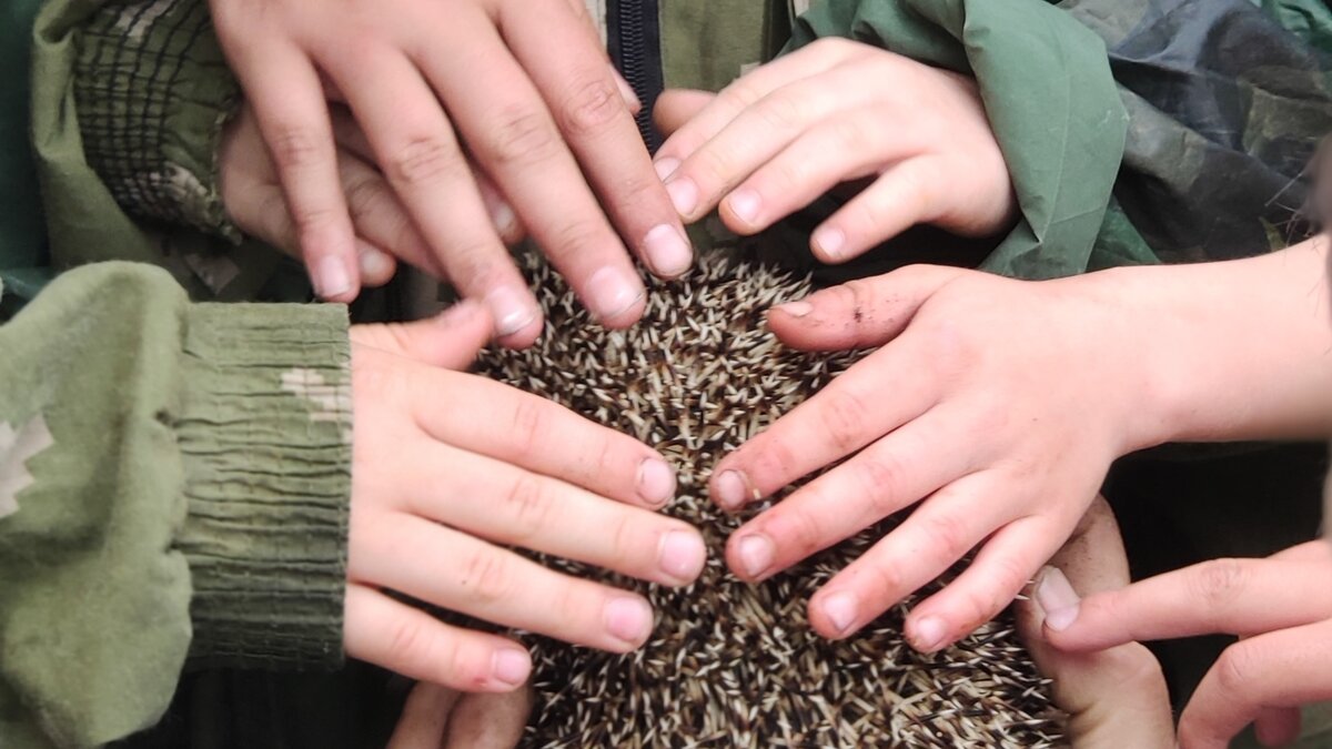 Фото Автора