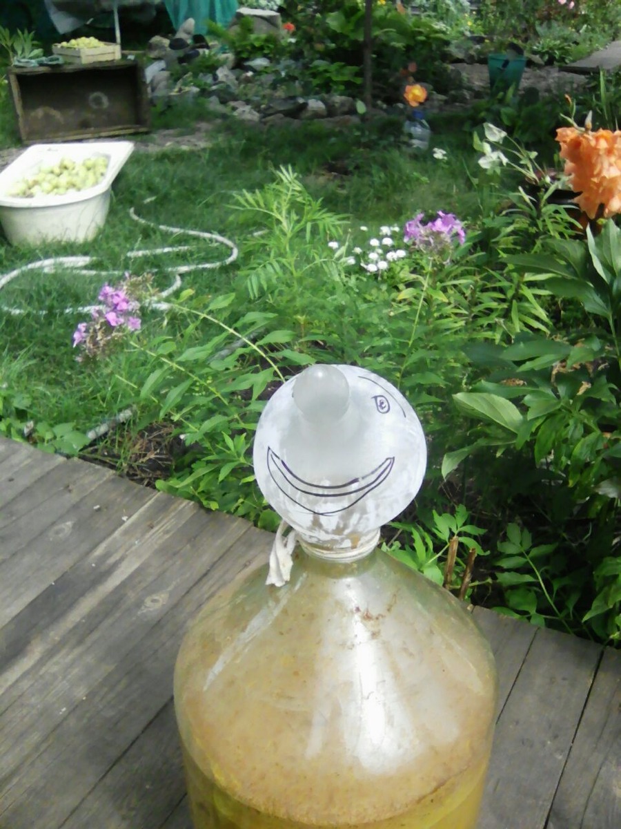 яблочная играет