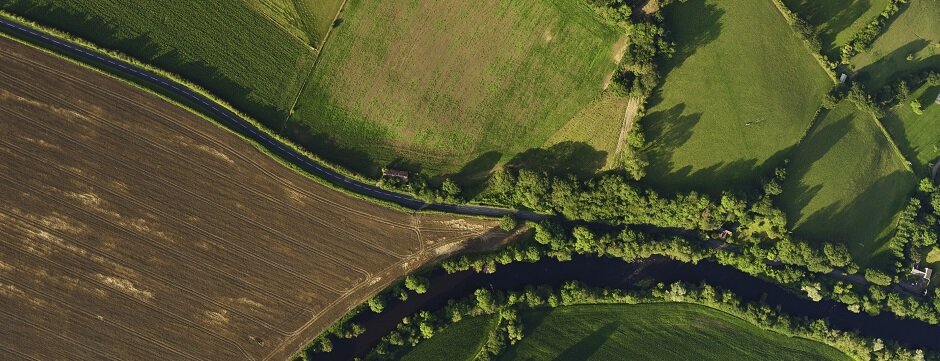 Фото: iStock.com