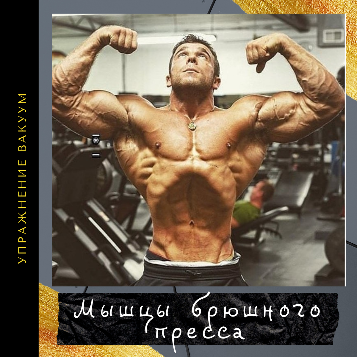  Pro_MuscleHD