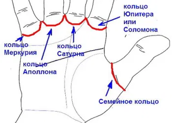 Прочитайте свою судьбу самостоятельно: форма ладони, ногтей, линии жизни, сердца, головы, судьбы, интуиции, брака и др.