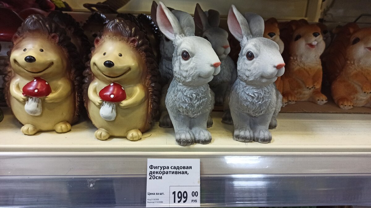 Авторское фото