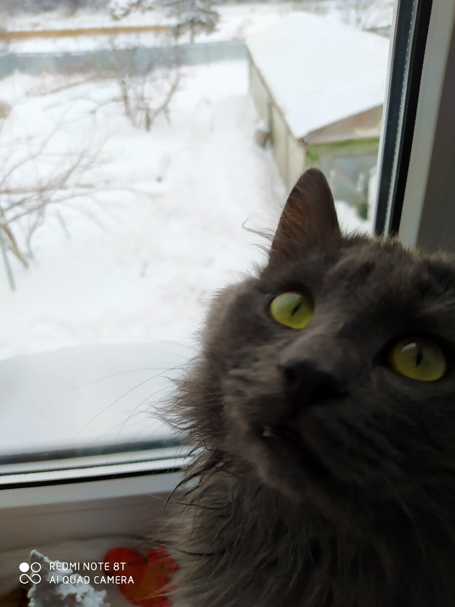 "Ну что, хозяйка, скоро сажать то будем?
