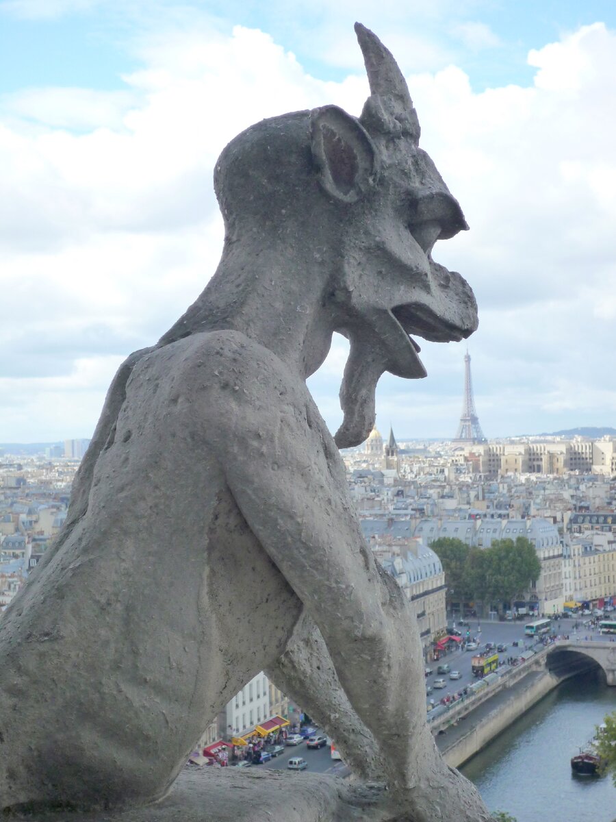 Дисциплина или мотивация, вот в чем вопрос?