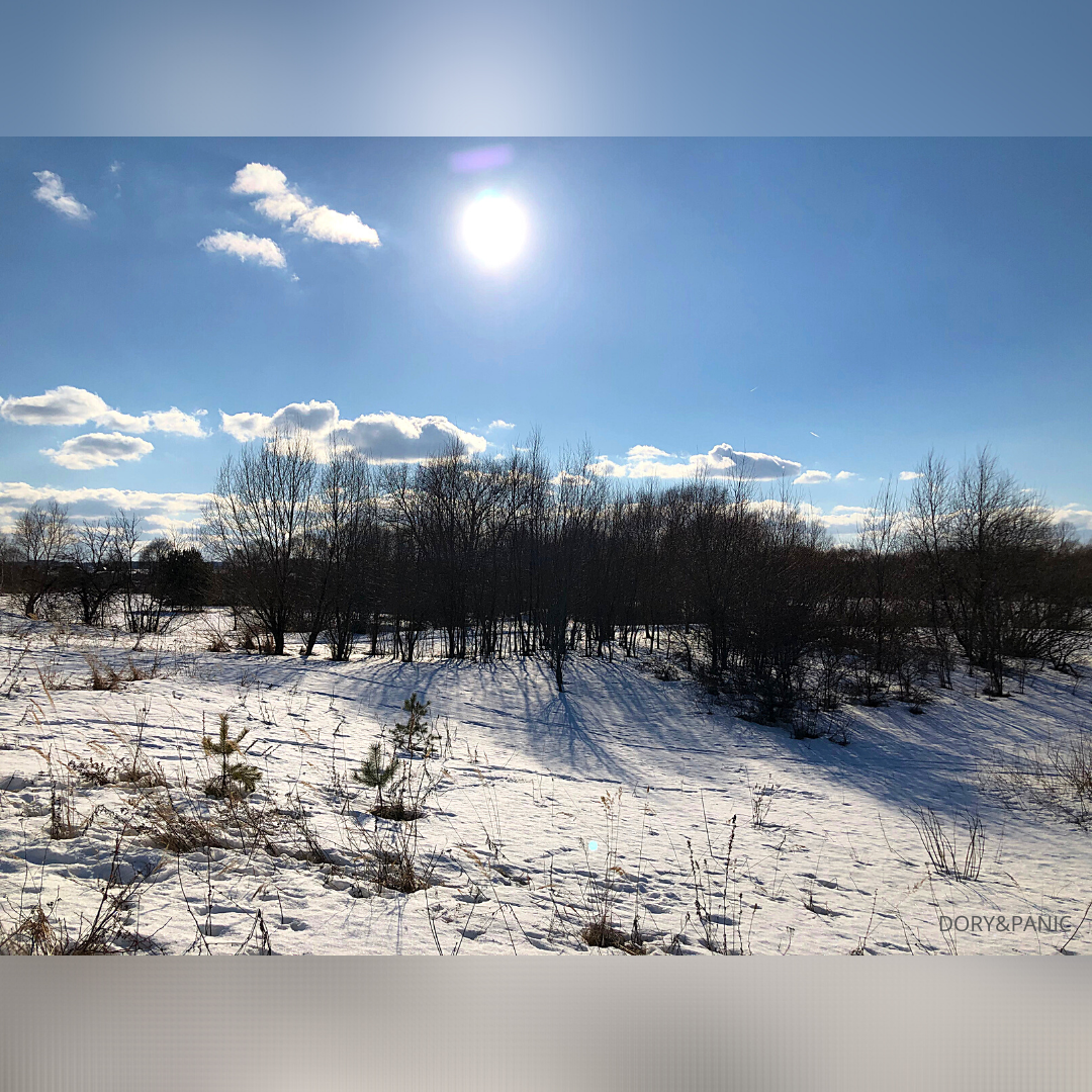 Личные фотофайлы. Инстаграм dory_panic