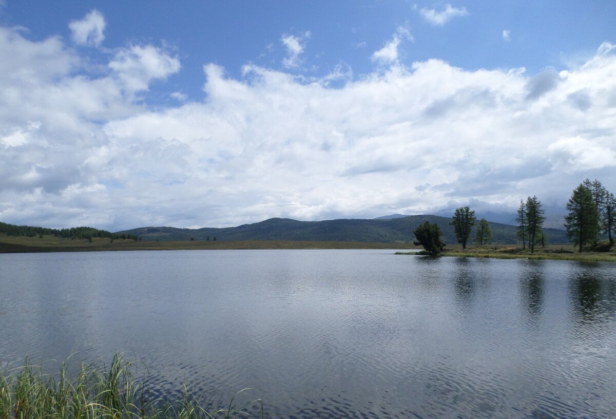 Исцеляющая природа Горного Алтая