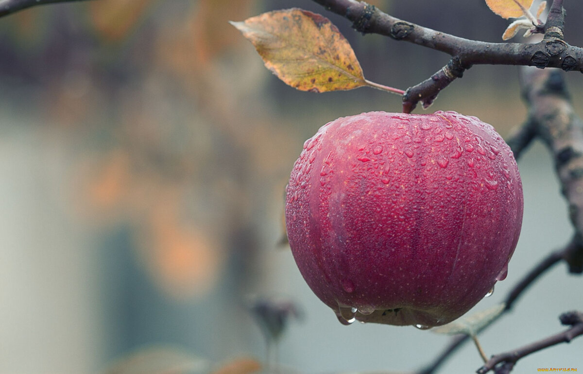 Захар Хабиров, 