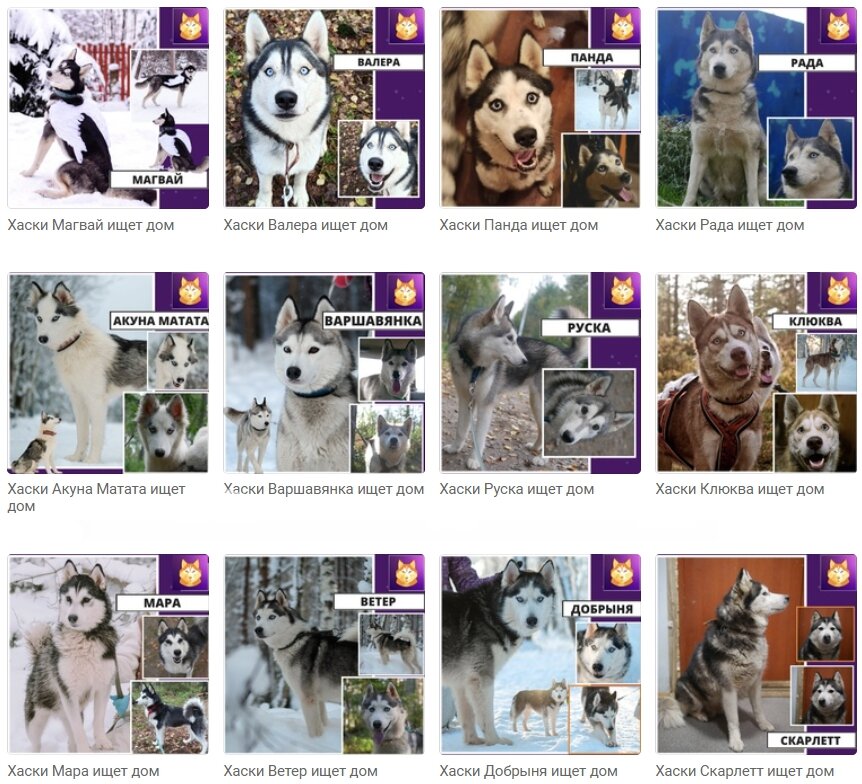 Кто-то был найден, кого-то предали, на ком-то хотели заработать!