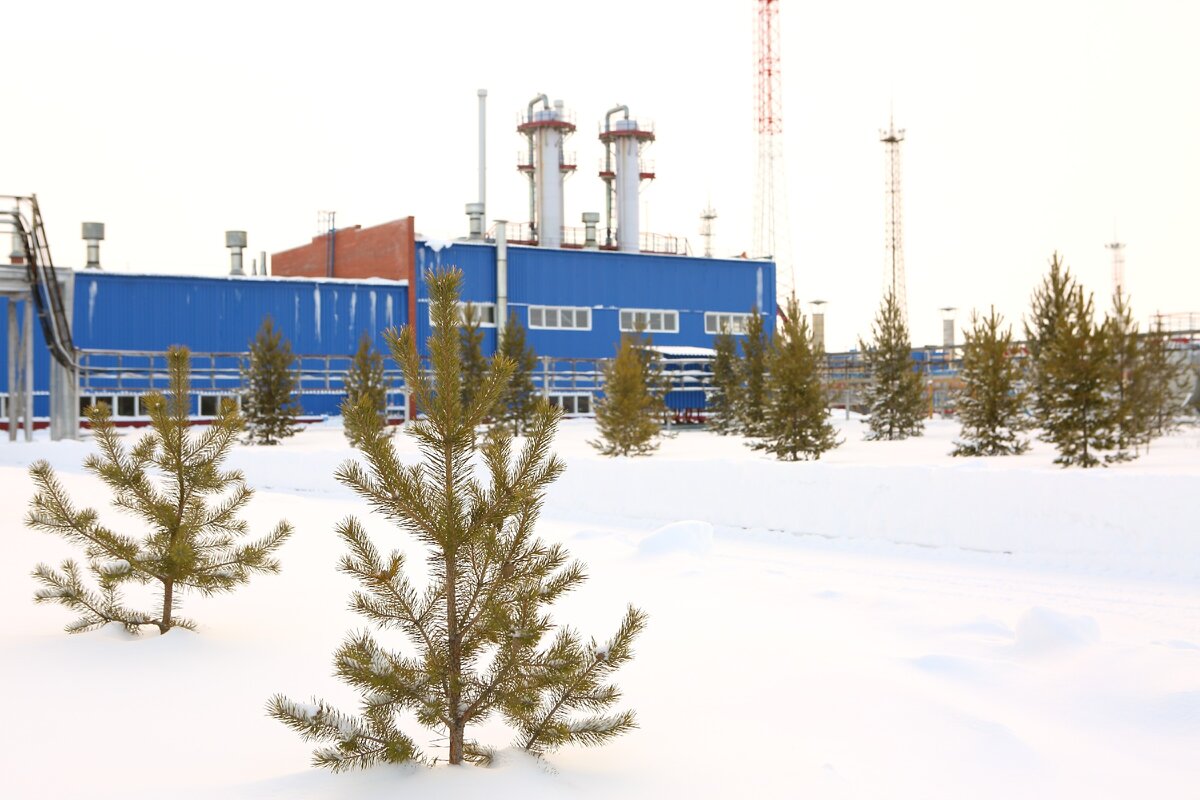 Одной из главных задач ООО «Газпром добыча Ноябрьск» в сфере экологии является последовательное снижение негативного воздействия на окружающую среду 