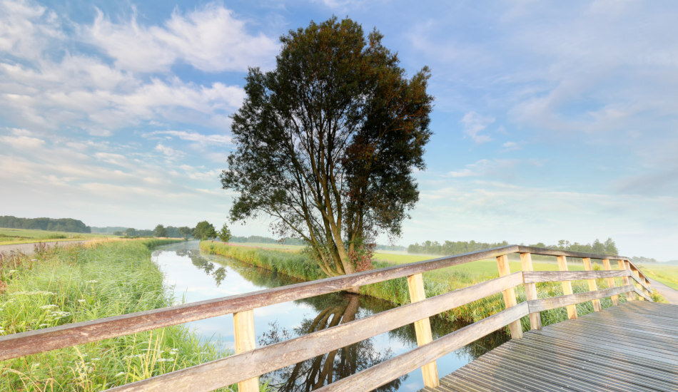 Когда мальчик захотел прыгнуть в реку, отец использовал эту возможность, чтобы преподать ему жизненный урок. (Image: via Dreamstime.com © Olha Rohulya)