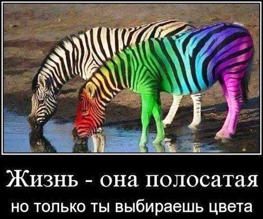 Иллюстрация из источника: https://sun9-13.userapi.com/impf/c623427/v623427258/223ae/2SSHzKQKu8o.jpg 