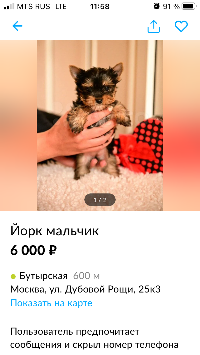                                                   Вот это объявление