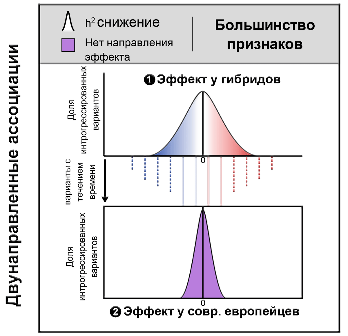 Биометрия: кто не спрятался, тот в ЕБС | ComNews