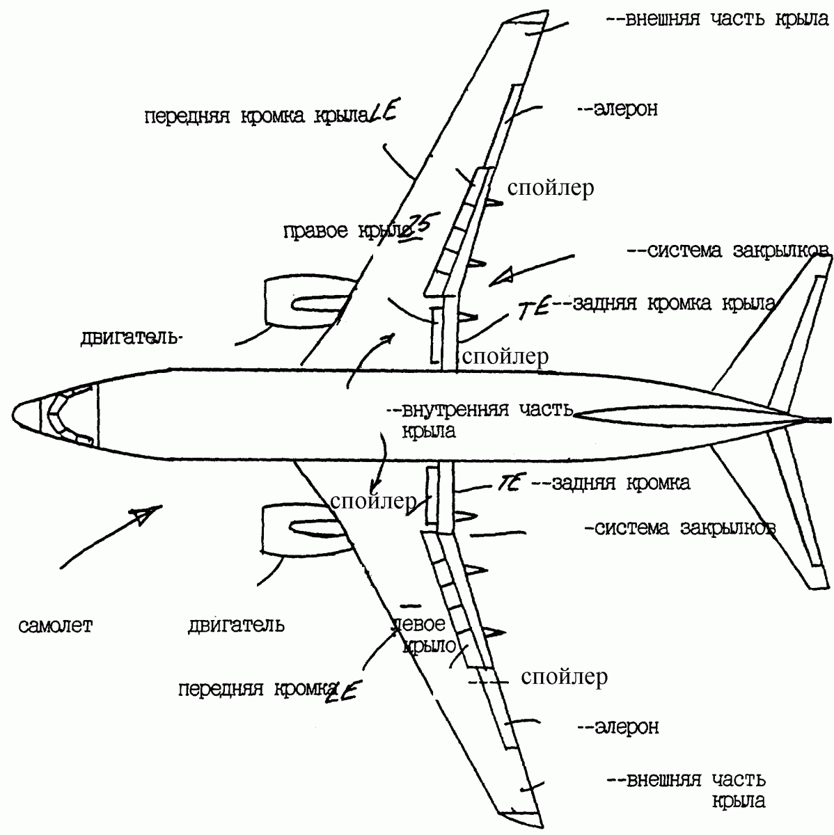 Основные части крыла. Конструкция крыла Боинг 737. Строение крыла самолета Боинг 737. Схема самолета механизация крыла Элерон. Строение крыла самолета Аэробус 320.